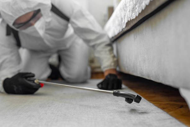 Professional Bed Bug Control technician working in Estherville, IA
