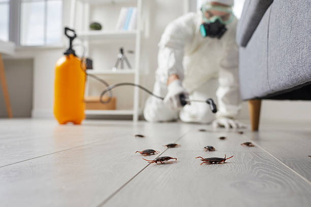 Trusted Rodent Control service in Estherville, IA - Nex Pest Control