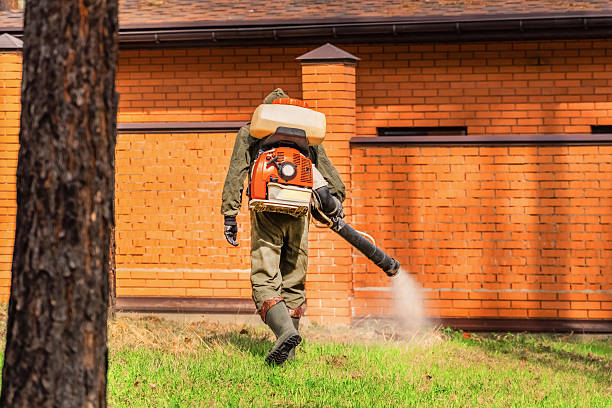 Trusted Bed Bug Control service in Estherville, IA - Nex Pest Control